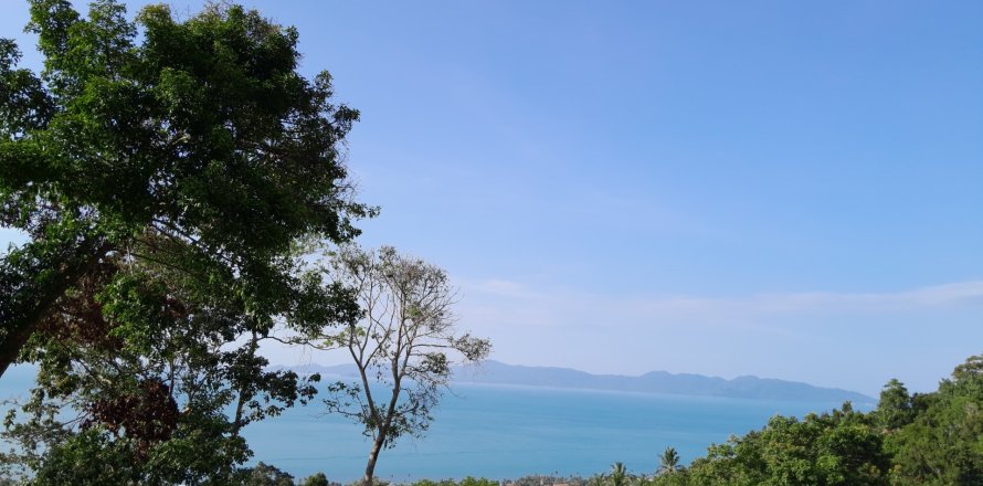Terrain à Ko Samui, Thaïlande 1600 m2 № 162152