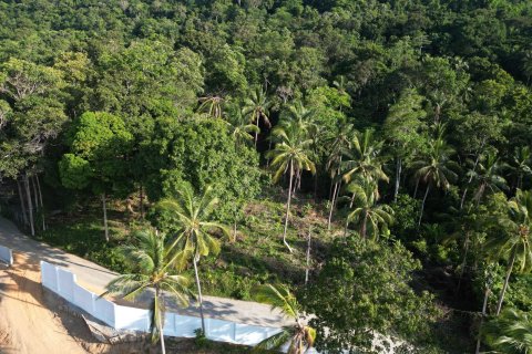 Terrain à Ko Samui, Thaïlande 1600 m2 № 162152 - photo 2
