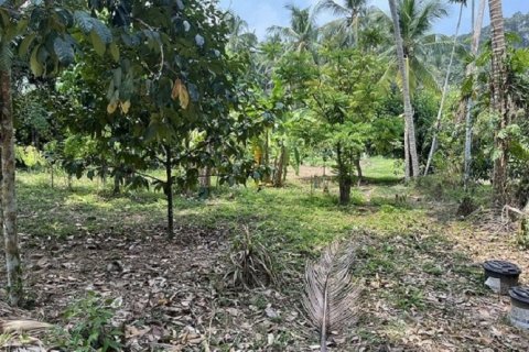 Land in Ko Samui, Thailand 1880 sq.m. № 180185 - photo 3