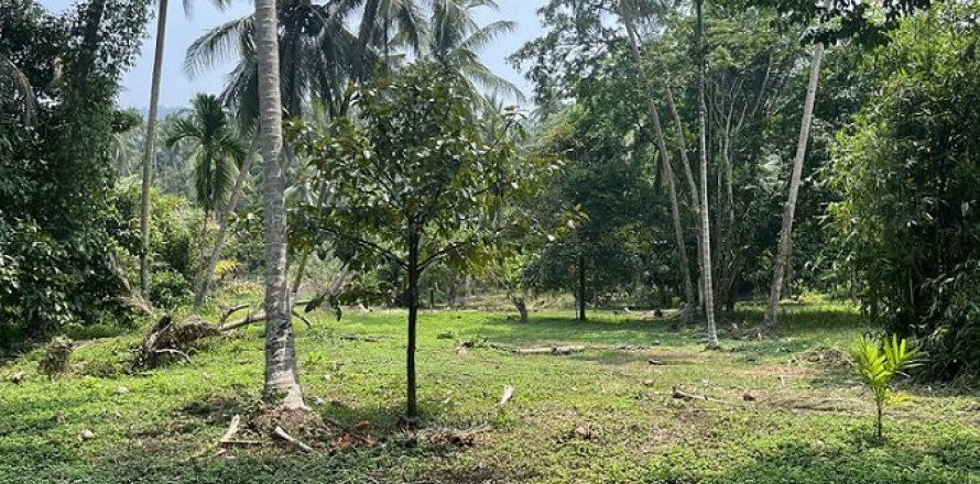 Land in Ko Samui, Thailand 1880 sq.m. № 180185