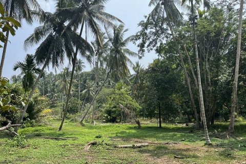 Land in Ko Samui, Thailand 1880 sq.m. № 180185 - photo 2