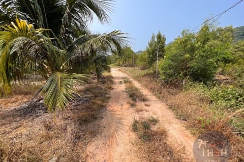 Land in Ko Samui, Thailand 2047.2 sq.m. № 180183