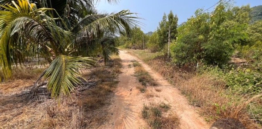 Land in Ko Samui, Thailand 2047.2 sq.m. № 180183