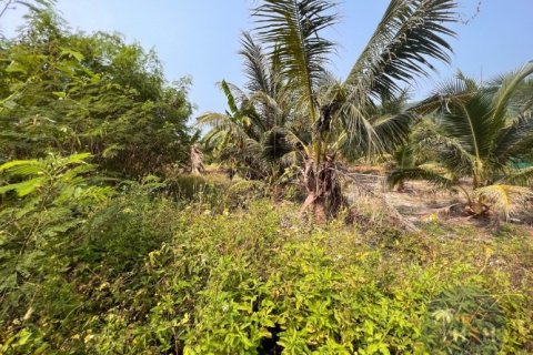 Land in Ko Samui, Thailand 2047.2 sq.m. № 180183 - photo 2