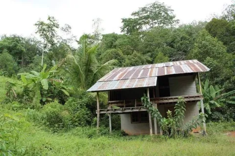 Земельный участок в Паклоке, Таиланд 5846м2 № 164605