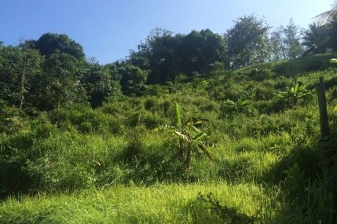 Terrain à Pa Klok, Thaïlande 5846 m2 № 164605 - photo 3