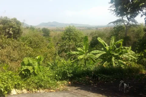 Terrain à Pa Klok, Thaïlande 5846 m2 № 164605 - photo 2