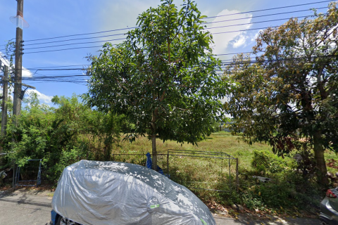 Terrain à Hat Yai, Thaïlande 9320 m2 № 164608 - photo 3