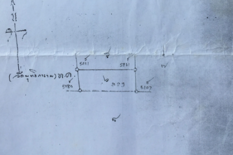 Terrain à Hat Yai, Thaïlande 9320 m2 № 164608 - photo 6