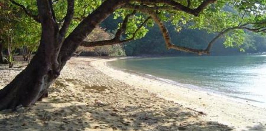 ที่ดินในพังงา, ประเทศไทย 32000 ตร.ม. № 202432