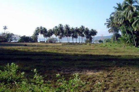 ที่ดินในพังงา, ประเทศไทย 32000 ตร.ม. № 202432 - รูปถ่าย 4