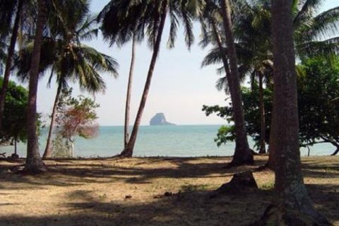 ที่ดินในพังงา, ประเทศไทย 32000 ตร.ม. № 202432 - รูปถ่าย 5