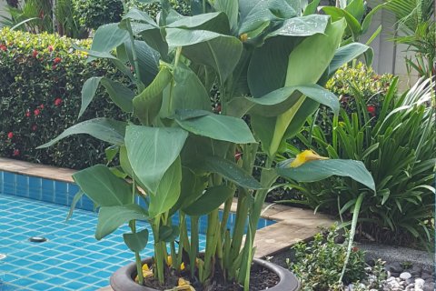 Дом в Паклоке, Таиланд с 3 спальнями № 141149 - фото 15