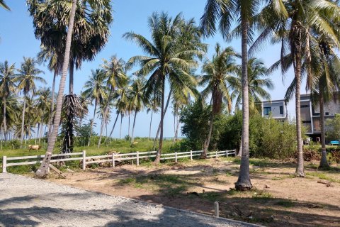 Terrain à Hua Hin, Thaïlande 1736 m2 № 161157 - photo 2