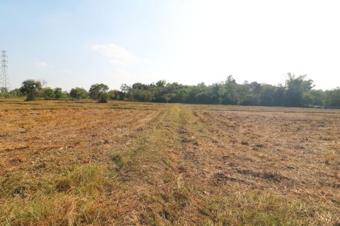 Terrain à Udon Thani, Thaïlande 8000 m2 № 162082 - photo 10