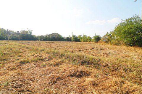 Terrain à Udon Thani, Thaïlande 8000 m2 № 162082 - photo 8