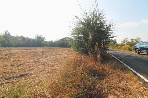 Terrain à Udon Thani, Thaïlande 8000 m2 № 162082 - photo 11