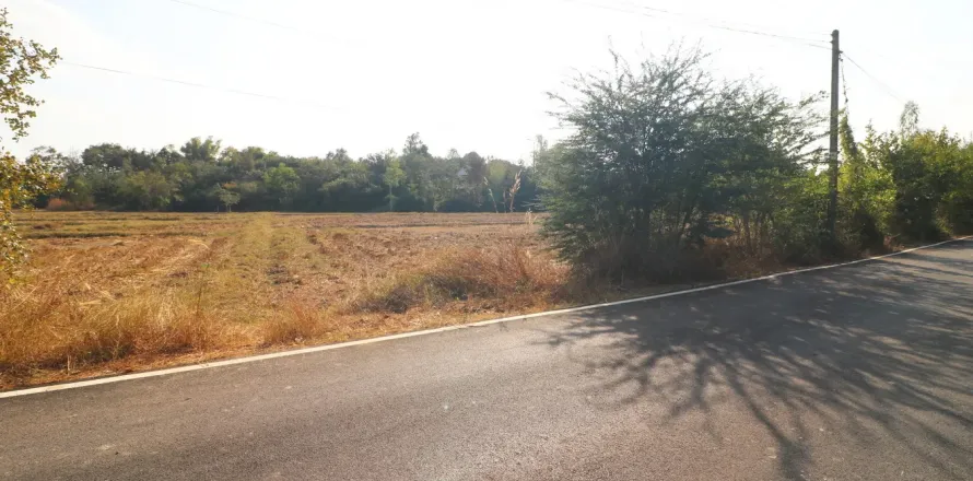 Terrain à Udon Thani, Thaïlande 8000 m2 № 162082