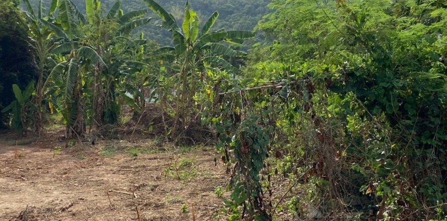 Land in Pattaya, Thailand 1660 sq.m. № 145971