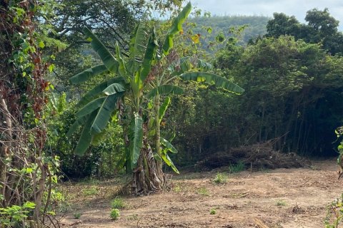 Land in Pattaya, Thailand 1660 sq.m. № 145971 - photo 2