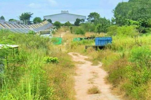 Земельный участок в Районге, Таиланд 17600м2  № 151554 - фото 5