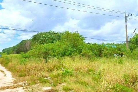 Земельный участок в Районге, Таиланд 17600м2  № 151554 - фото 4