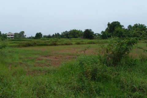 Land in Nong Bua Lamphu, Thailand 12800 sq.m. № 167387 - photo 4