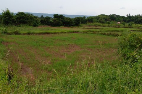 Land in Nong Bua Lamphu, Thailand 12800 sq.m. № 167387 - photo 2