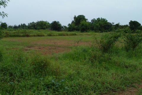 Land in Nong Bua Lamphu, Thailand 12800 sq.m. № 167387 - photo 3