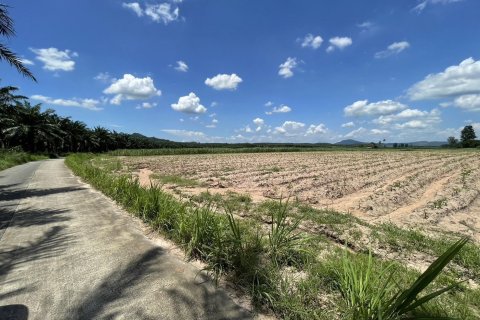 Land in Pattaya, Thailand 48000 sq.m. № 160313 - photo 5