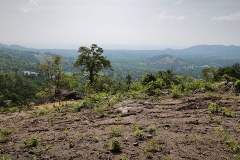 Земельный участок в Самуи, Таиланд  № 146602 - фото 6