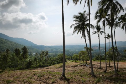 Земельный участок в Самуи, Таиланд  № 146602 - фото 5