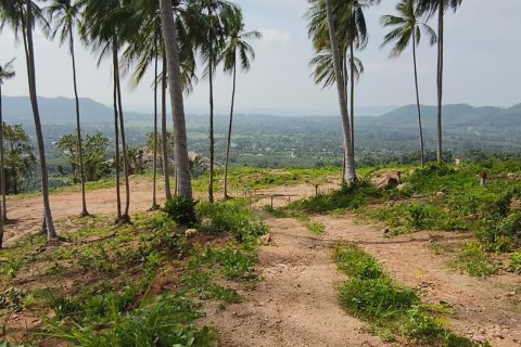 Земельный участок в Самуи, Таиланд  № 146602 - фото 11