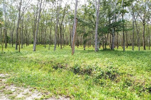 Land in Mai Khao, Thailand 9600 sq.m. № 149210 - photo 3