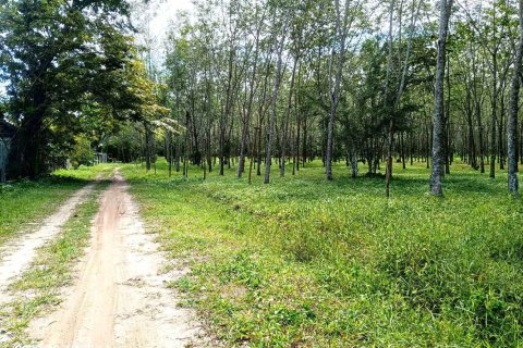 Land in Mai Khao, Thailand 9600 sq.m. № 149210 - photo 5