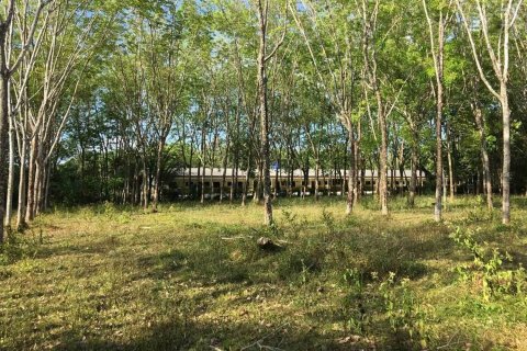 Land in Mai Khao, Thailand 9600 sq.m. № 149210 - photo 6