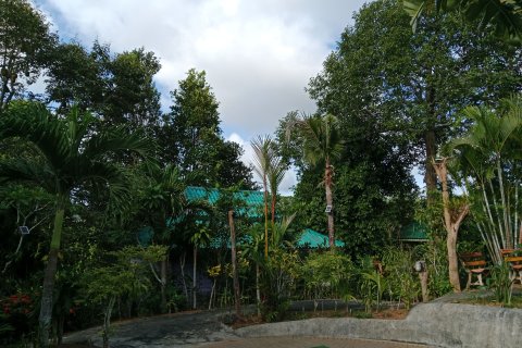 Hôtel à Krabi, Thaïlande № 148085 - photo 19