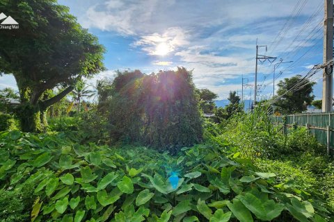 Land in Chiang Mai, Thailand № 122842 - photo 4