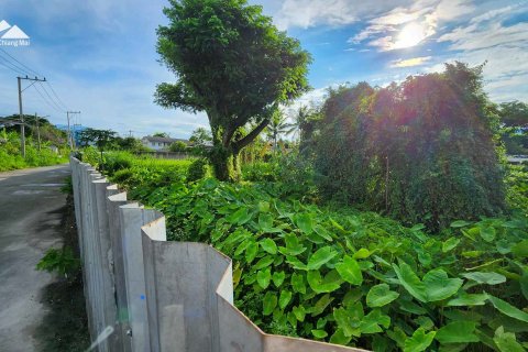 Land in Chiang Mai, Thailand № 122842 - photo 3