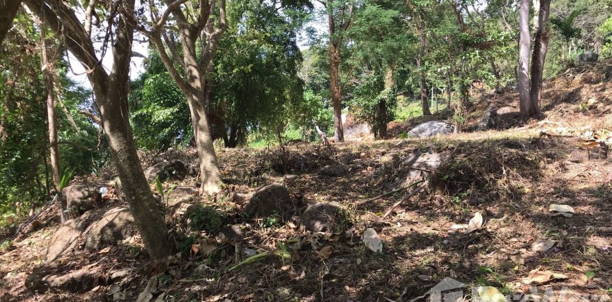 Land in Kathu, Thailand 1600 sq.m. № 140608