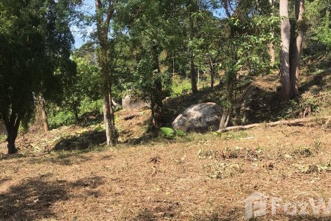 Land in Kathu, Thailand 1600 sq.m. № 140608 - photo 4