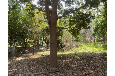 Studio in Ko Samui, Thailand № 175606 - photo 4