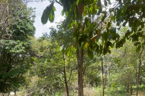 Studio in Ko Samui, Thailand № 175606 - photo 1