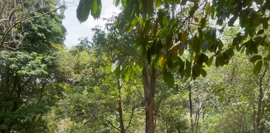 Studio in Ko Samui, Thailand № 175606