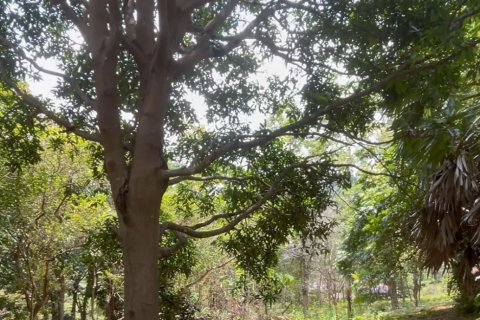 Studio in Ko Samui, Thailand № 175606 - photo 3