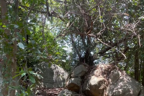 Studio in Ko Samui, Thailand № 175606 - photo 2