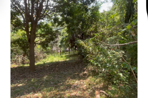 Studio in Ko Samui, Thailand № 175606 - photo 5