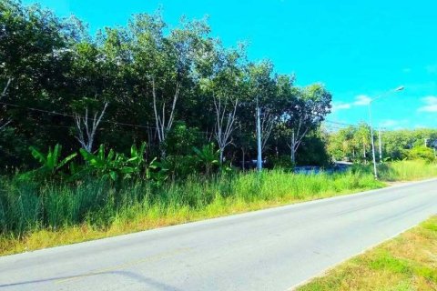 Земельный участок в Районге, Таиланд 38400м2  № 158028 - фото 6