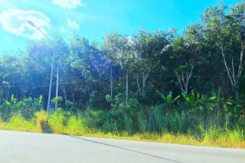 Земельный участок в Районге, Таиланд 38400м2  № 158028 - фото 7