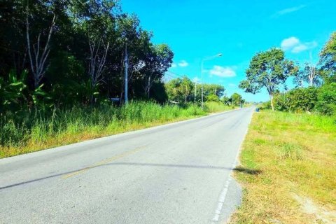 Земельный участок в Районге, Таиланд 38400м2  № 158028 - фото 4